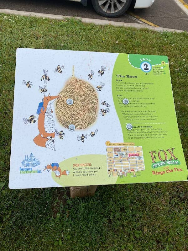 Fox story walk - Image 1