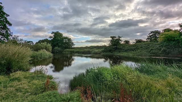 The "Strand" Liffey Linear Park - Image 2