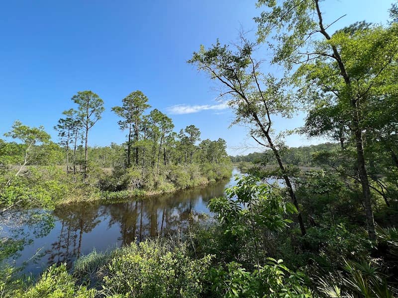 Fountaine Bleu Trail, Mississippi Coastal Birding Trail, Ocean Springs, MS - Image 2
