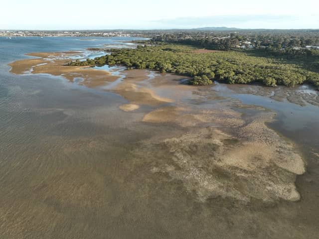 Ormiston Conservation Foreshore - Image 1