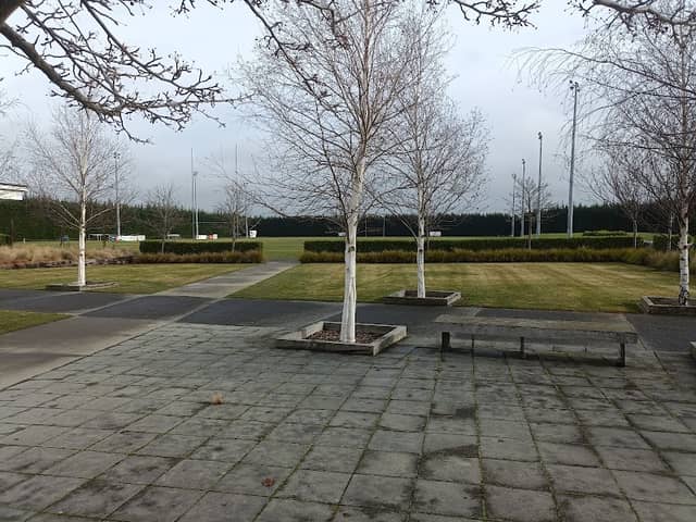 Dunsandel Domain - Image 2