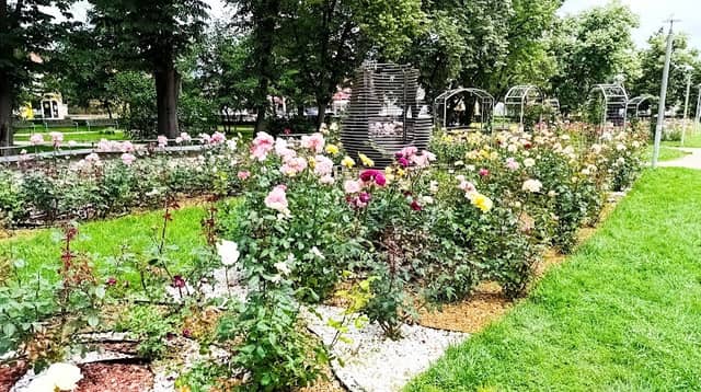 Park Rose Garden - Image 3