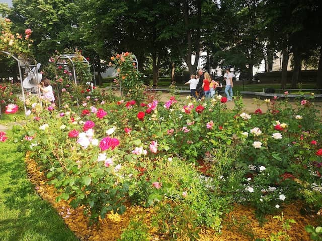 Park Rose Garden - Image 1