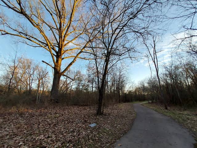 Ashley Smith Nature Trail - Image 3