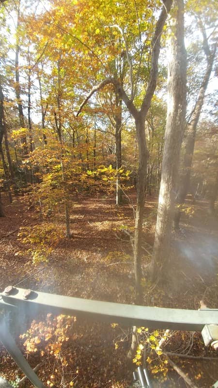 Lowe Warner Park - Image 3
