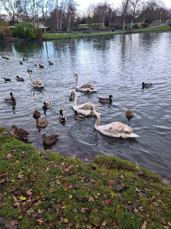 Upperby Park - Image 2