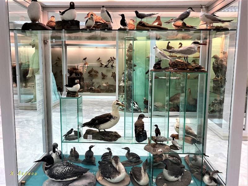 Natural History Museum of Marousi Municipality - Image 1