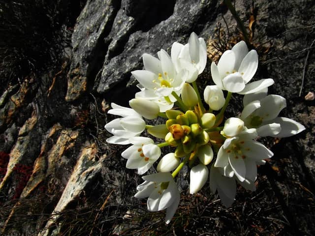 Mont Rochelle Nature Reserve - Image 1