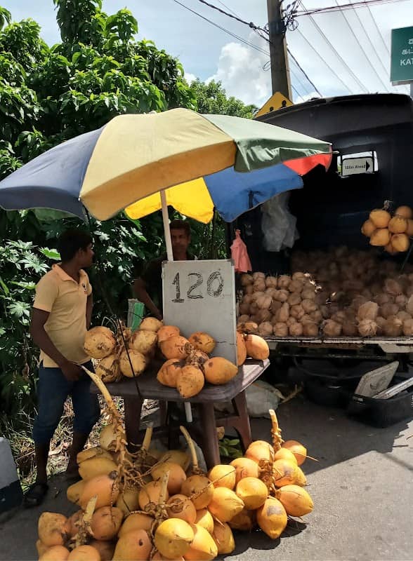 King coconut place - Image 1