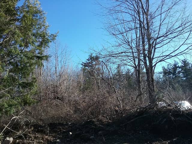 High Ridge Wildlife Management Area - Image 2