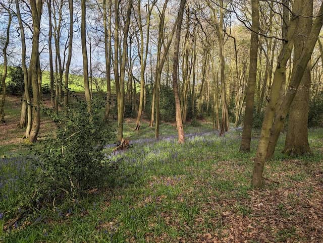 Wheeler End Common - Image 2