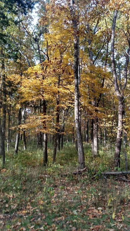 Allerton Park - Lost Garden and Trailhead Parking - Image 3