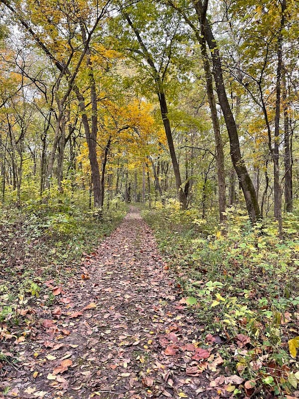 Allerton Park - Lost Garden and Trailhead Parking - Image 1
