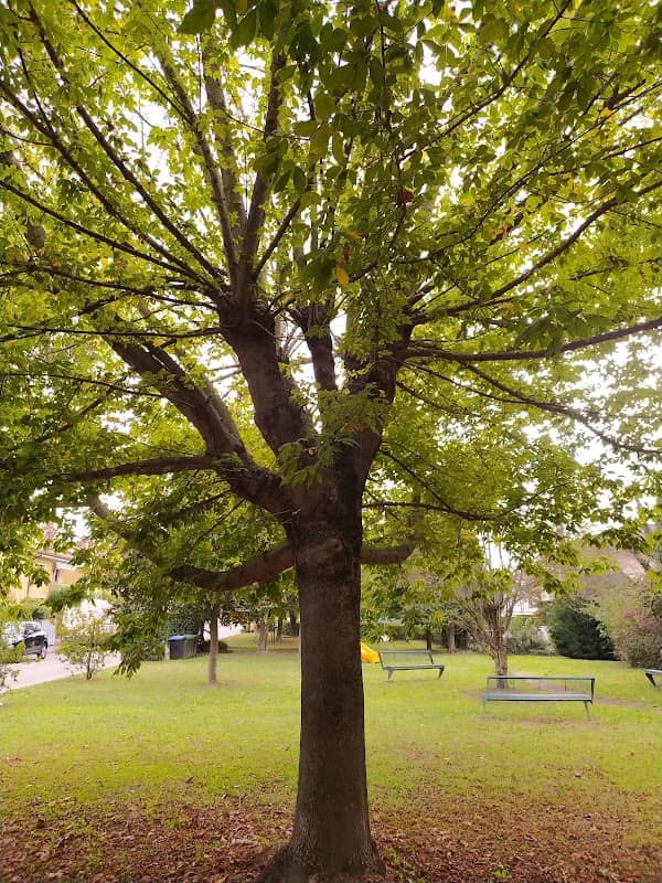 Parco - Image 1