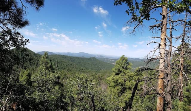 Gila National Forest - Image 3