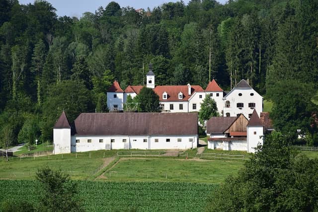 Schloss Dornhofen - Image 2