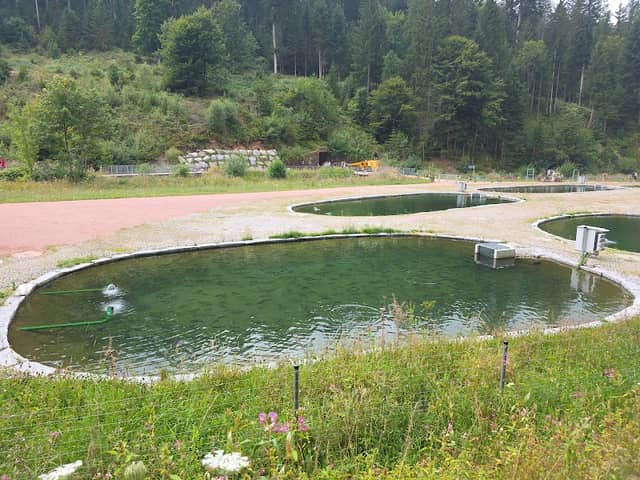 Forellenschaubecken - Image 1