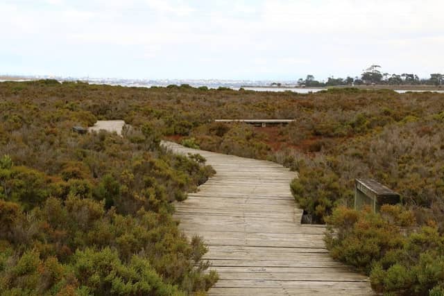 Limeburners Lagoon State Nature Reserve - Image 2