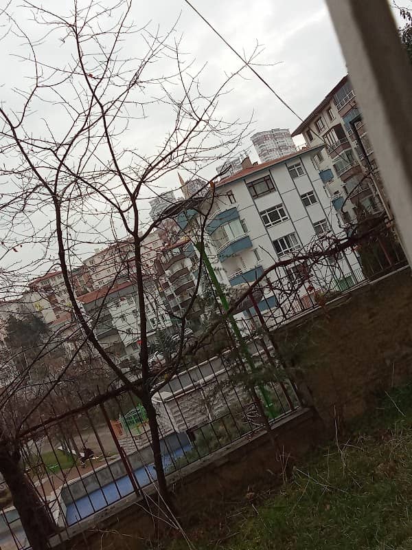 Parki - Image 2