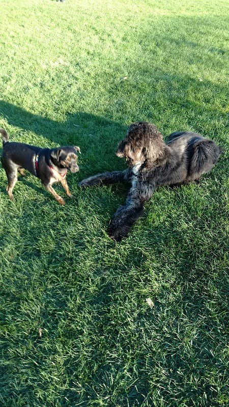 Brookdale Park & Dog Park - Image 1