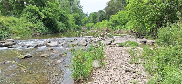 Island Park - Image 2