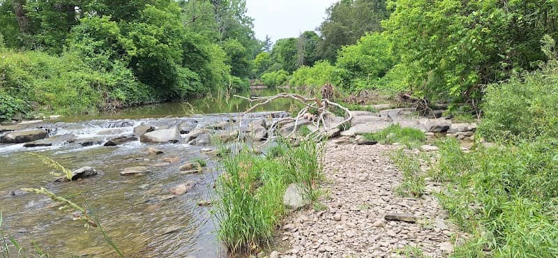 Island Park - Image 2