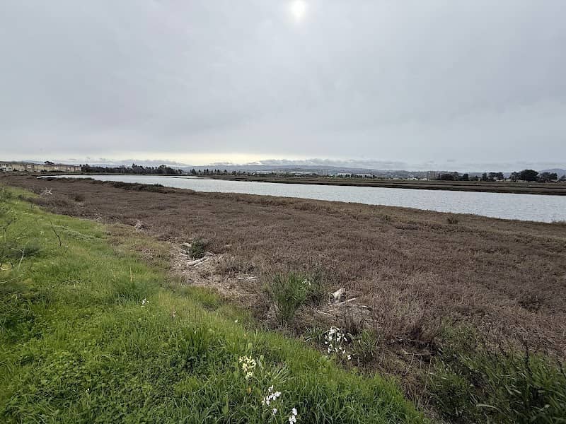 Wetland Overlook - Image 1