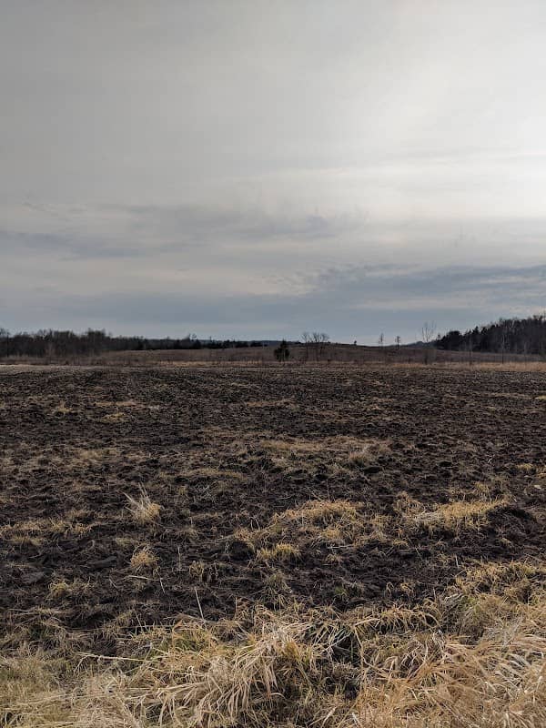 Cedar Mountain Scientific and Natural Area - Image 1