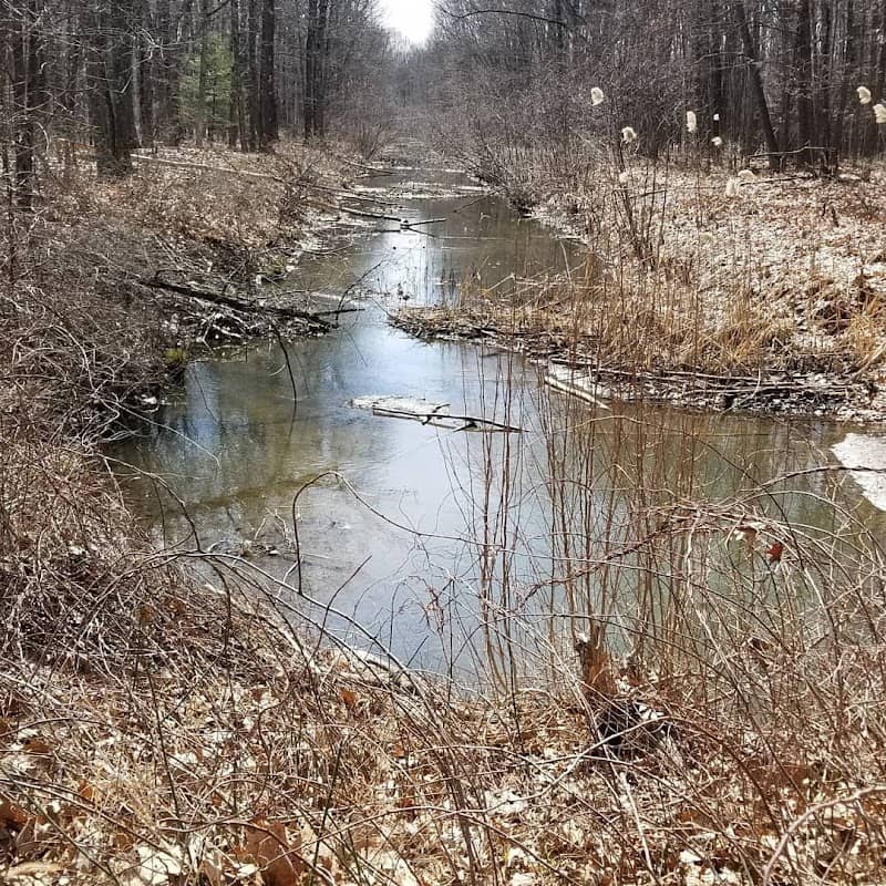 Woodlawn Preserve - Image 3