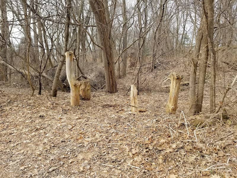 Woodlawn Preserve - Image 1