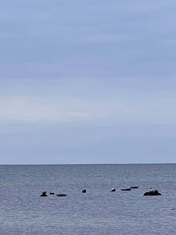 Södra Bjärekusten, parkering Gryteskär - Image 1