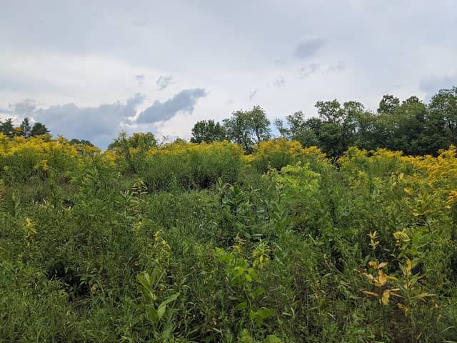 Hebert Arboretum At Springside Park - Image 3