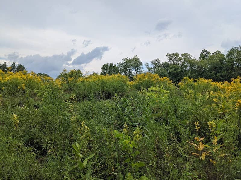 Hebert Arboretum At Springside Park - Image 3