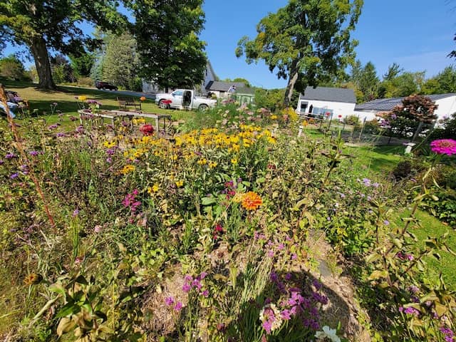 Hebert Arboretum At Springside Park - Image 2