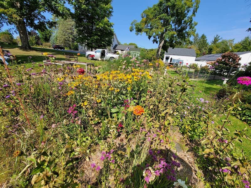 Hebert Arboretum At Springside Park - Image 2