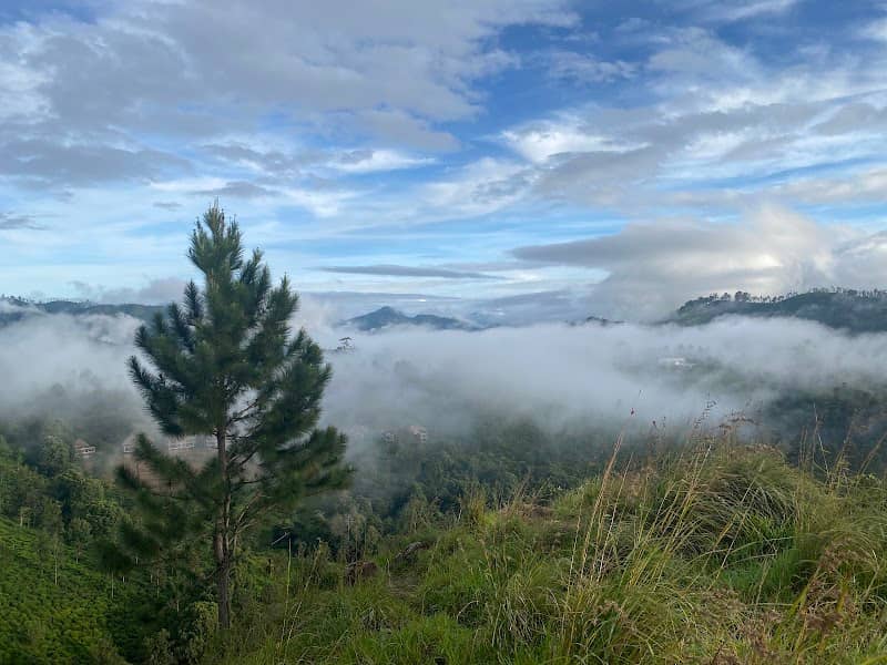 Little adam's peak View Point - Image 2