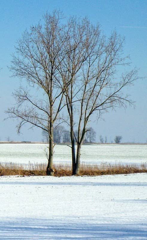 stevington country walk - Image 1