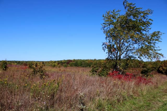 White River Trace Conservation Area - Image 1