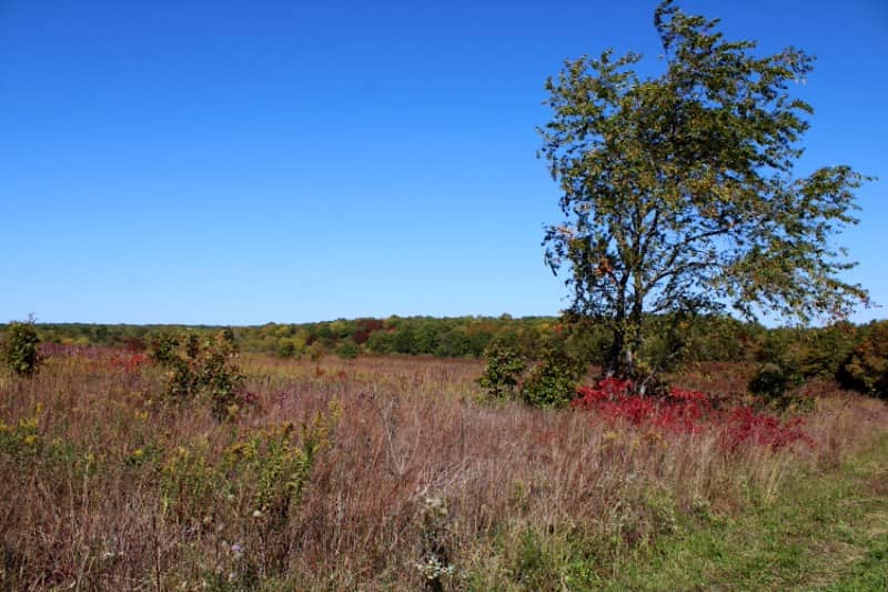 White River Trace Conservation Area - Image 1