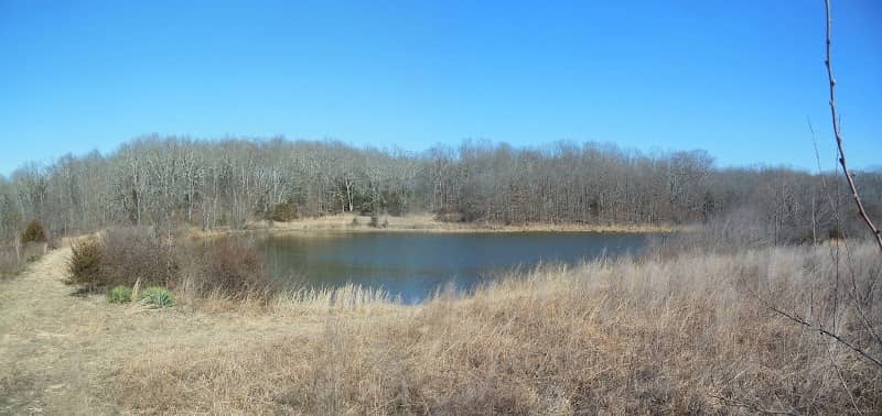 White River Trace Conservation Area - Image 2