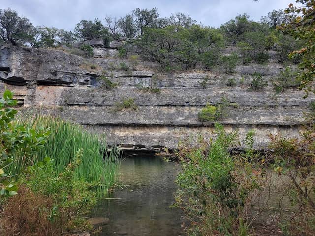 Pond Day Use Area - Image 1