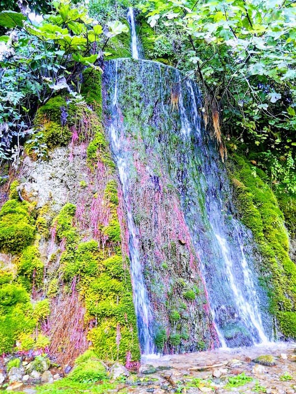 Fonte Bandusia - Image 1