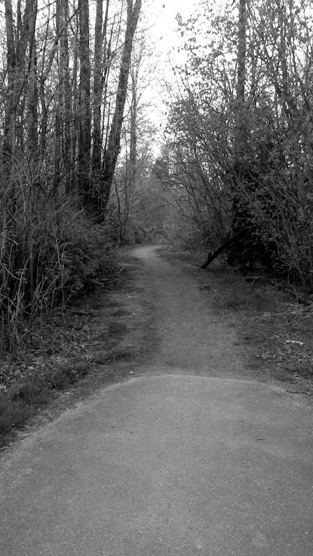 East View Trail Park - Image 1