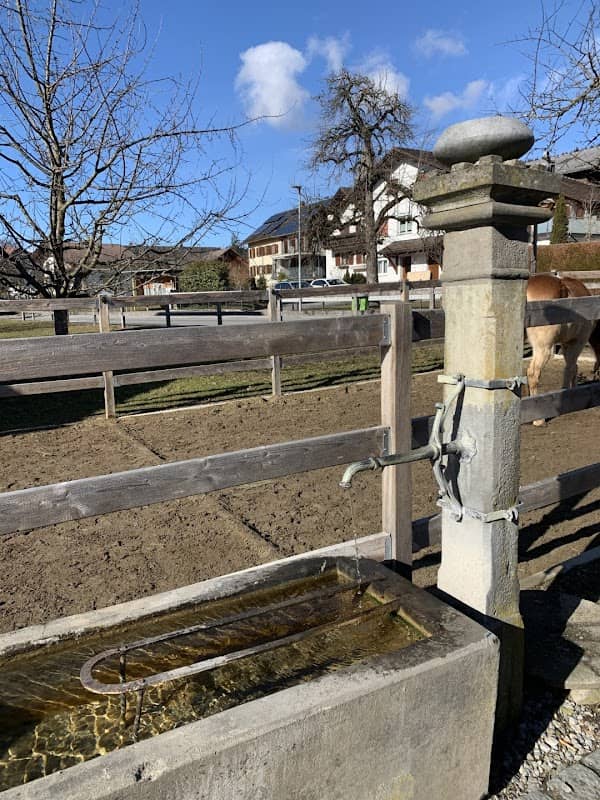 Trogbrunnen - Image 1