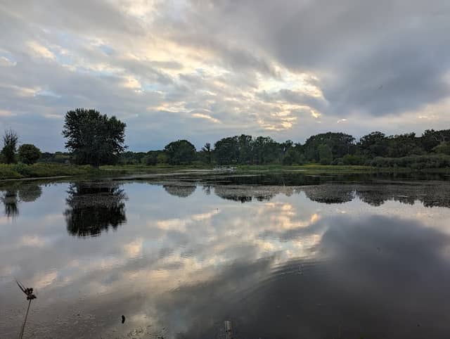 Nippersink Forest Preserve - Image 2