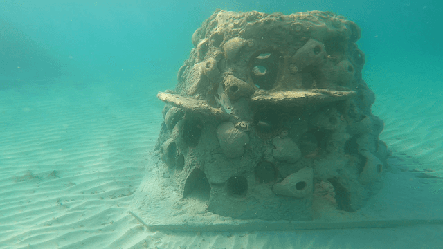 Guardians of the Reef Site 1 North Beach Park - Image 2
