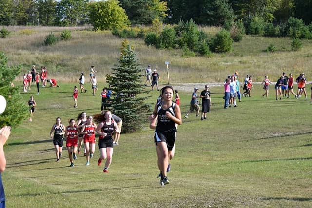 Ellsworth Sports Park - Image 1