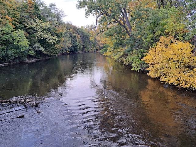 Frog Island Park - Image 1