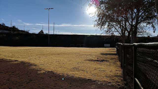 Wildkitten Field - Image 2