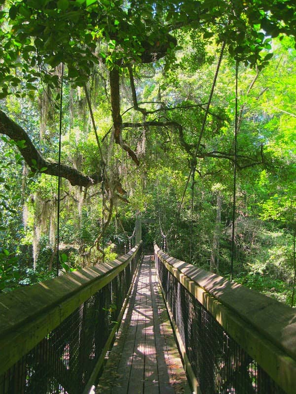 Ravine Gardens State Park - Image 3